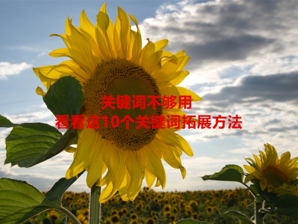 關鍵詞不夠用，看看這10個關鍵詞拓展方法！